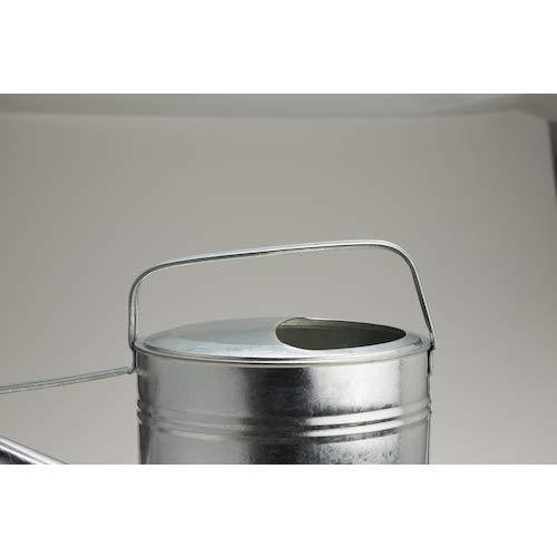 P-3-TSCO-WATCAN-CGI06-Trusco Galvanized Watering Can 6 Liters CGI-06-2023-09-26T15:41:42.jpg
