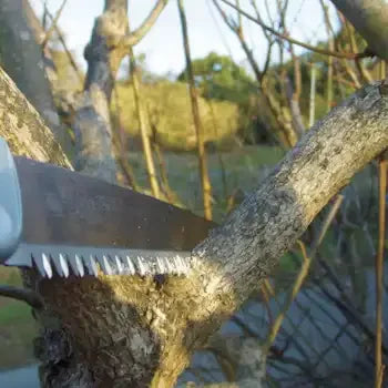 Gyokucho-Razorsaw-Curved-Non-Slip-Handle-Live-Wood-Pruning-Saw-250mm-4-2024-08-14T07:48:58.808Z.webp