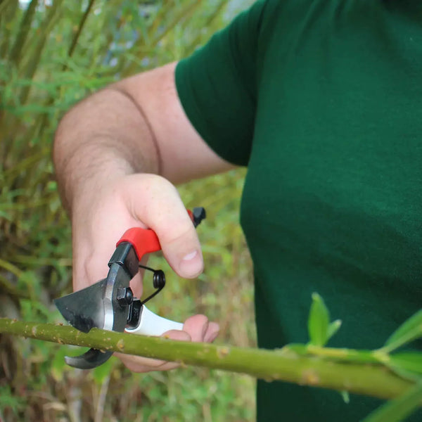 Okatsune-Secateurs-Japanese-Bypass-Pruning-Shears-210mm-104-4-2025-01-23T04:03:40.427Z.webp