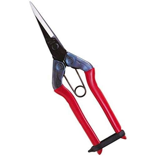 P-1-CHIK-PRUSHE-T550-Chikamasa Pruning Shears T-550-2023-09-26T15:19:08.jpg