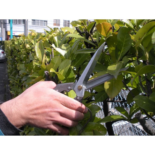 P-2-NHGK-SHEARS-N208-Nishigaki Professional Leaf-Cutting Shears N-208-2023-09-26T15:19:06.jpg