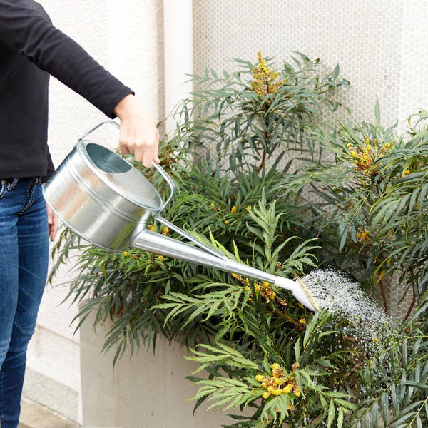 P-2-TSCO-WATCAN-CGI04-Trusco Galvanized Japanese Watering Can 4 Liters CGI-04-2023-09-26T15:19:09.jpg