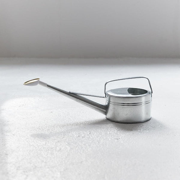 P-3-TSCO-WATCAN-CGI04-Trusco Galvanized Japanese Watering Can 4 Liters CGI-04-2023-09-26T15:19:09.jpg