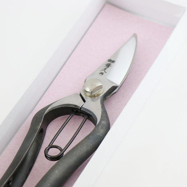 P-6-TOYA-PRUNER-T19-Toyama Hamono Hidehisa Secateurs Hand Forged Carbon Steel Pruning Shears T-19-2023-09-26T15:19:10.jpg