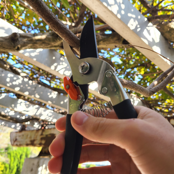 Saboten-Pro-Pruning-Shears-Lightweight-Heavy-Duty-Pruners-205mm-2-2024-11-20T00:18:55.751Z.png