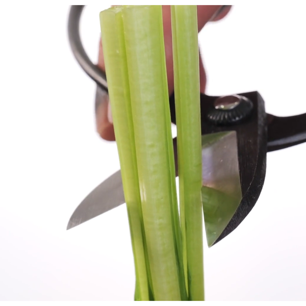 Toyama-Hamono-Carbon-Steel-Ikebana-Flower-Shears-165mm-2-2025-12-08T06:24:40.496Z.png