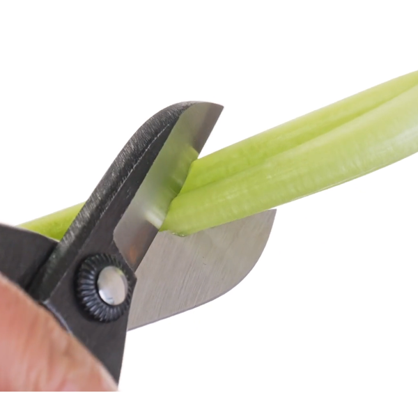 Toyama-Hamono-Warabite-Style-Ikebana-Flower-Scissors-165mm-2-2025-12-08T06:35:28.755Z.png