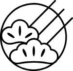 Negishi